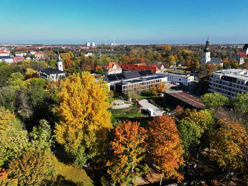 PV-Großanlage auf dem Dach der Förderschule Schloss Schönefeld, Blick das Gelände und Bäume im Herbst